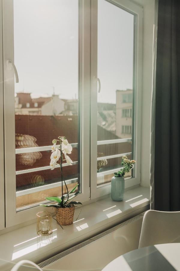 New Equipped Apartment In The City Center Plzen Bagian luar foto